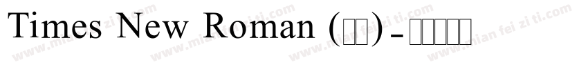 Times New Roman (正文)字体转换